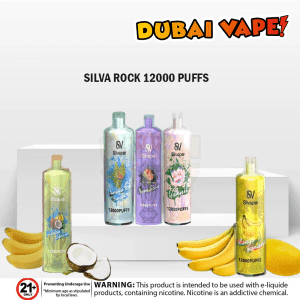 Silva Rock 12000 Puffs Disposable Vape in UAE